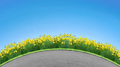 Panning Road and flowers Stock Footage 135936642
