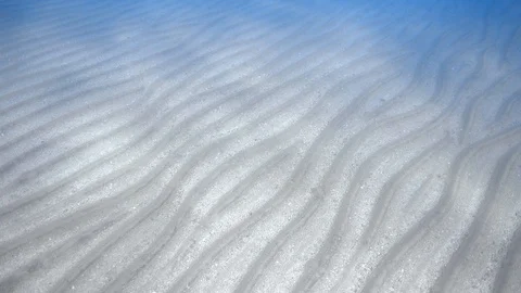 Panning sandy sea bottom underwater Stock Footage 87908133