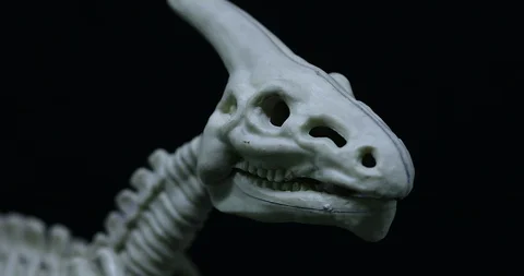 Panning on Saurolophus skeleton Stock Footage 105473249