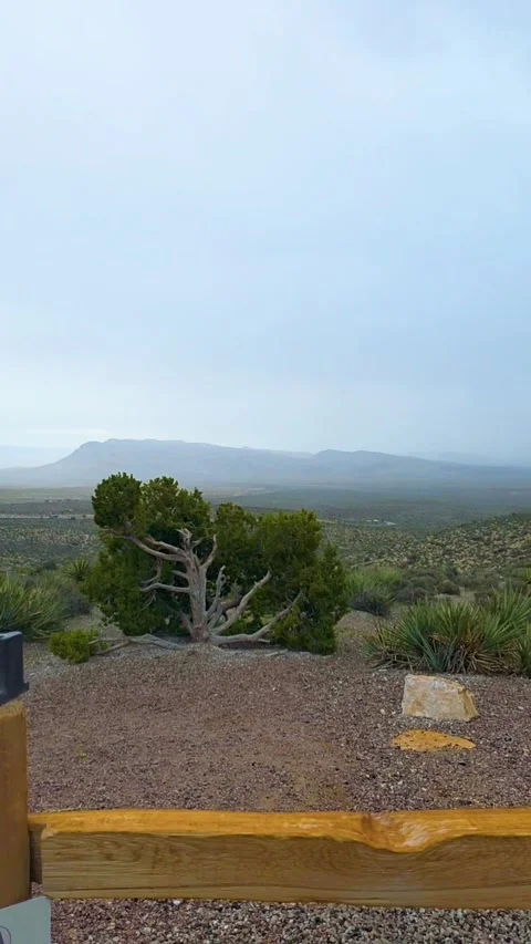 Panning Scenic Drive Through Red Rocks Near Las Vegas on Cloudy Rainy Day Stock Footage 333805964