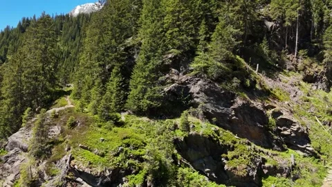 Panning Shot Across Steep Pine Covered Mountain Ridge Stock Footage 343068271