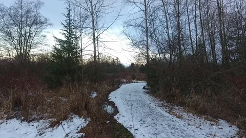 Panning shot actoss winter trees in field Stock Footage 86294866