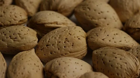 Panning shot of almond nuts in shells piled together Video stock 328085536