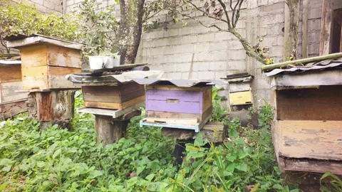Panning Shot Of An Apiary Stock Footage 93166915