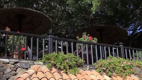 Panning shot bar, bar high in the walls covered in flowers Stock Footage 84930858
