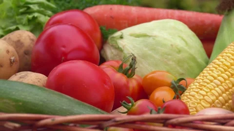 Panning Shot of Basket Full of Fresh Harvest Vegetables Stock Footage 325898032
