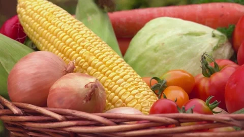 Panning Shot of Basket Full of Fresh Harvest Vegetables Close Up Video stock 326320027