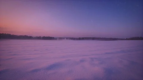 Panning shot beautiful winter forest surrounded by snowfall animation and fog at Stock Footage 101462971