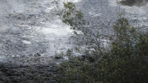 Panning shot of boiling mud pools in Rotorua, New Zealand Stock Footage 89594438