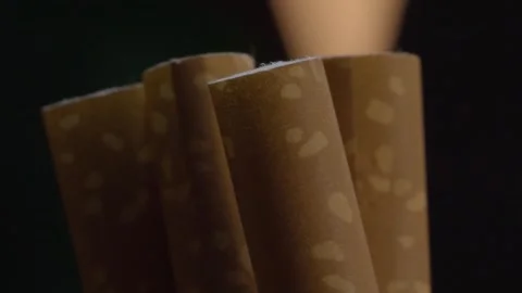 Panning Shot of Brown Cigars Showing Natural Leaf Texture and Rolled Form Stock Footage 342738157