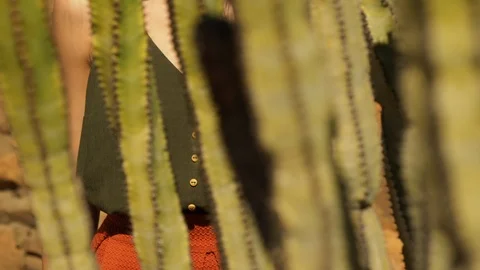Panning Up Shot From Cacti to Blonde Model Video stock 114175939
