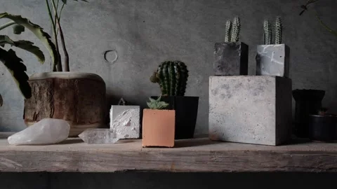 Panning Shot of Cacti in Modern Concrete Pots on Rustic Shelf Vídeos de archivo 344099548