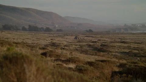 Panning Shot of Costal Plain 스톡 동영상 85449686