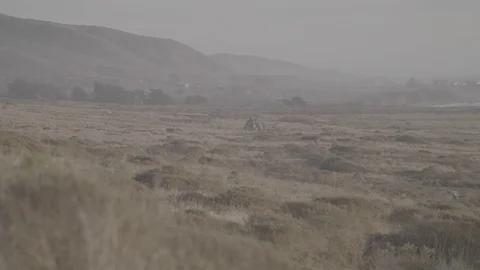 Panning Shot of Costal Plain - Log 스톡 동영상 85449216