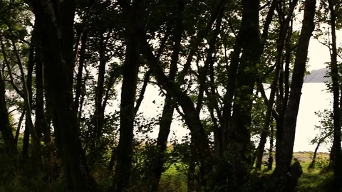 Panning shot - Dazzling Rays of a setting sun bounce off the flowing waters of a 動画素材 80100224