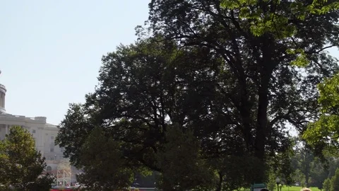 Panning shot of DC Capitol Building, trees, blue skies, 4K Vídeos de archivo 71357266