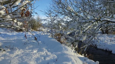 Panning shot of deep snow running along a river bank 動画素材 109134089