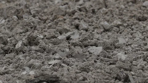Panning shot of dry soil during heatwave in summer. Stock Footage 337868404