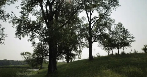 Panning shot of field against clear sky Stock Footage