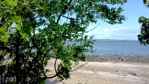 Panning shot of the Firth of the Forth Video stock 199992952