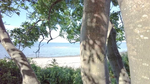 Panning shot  of the Firth of the Forth Video stock 199993334