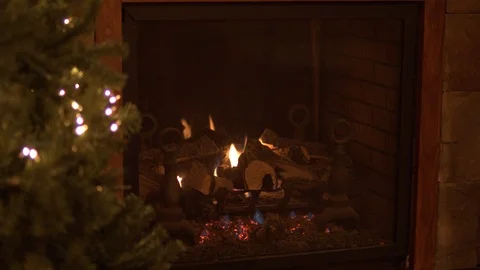 A panning shot with a focus pull of Christmas tree with lights infront of a Stock Footage 120289196