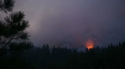 Panning shot of forest fire Stock Footage 41832096