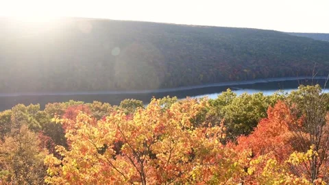 Panning shot golden fall mountain landscape Rimrock Pa Video stock 254592080
