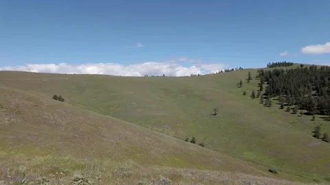 Panning shot of the grasslands of the Flathead Indian Reservation in Montana. Stock Footage 337802534