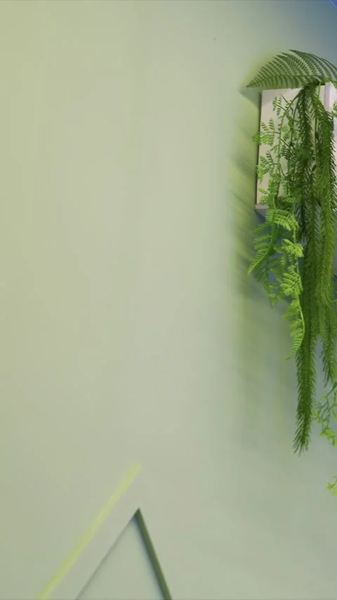 Panning shot of interior walls with geometric shapes and hanging plants showing Stock Footage 342785667
