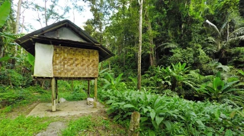 Panning Shot of a Jungle Trailhead in Southeast Asia. UltraHD video Video stock 59797211