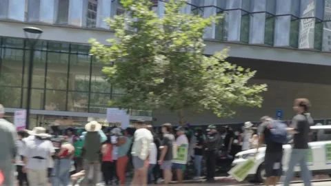 Panning Shot of LA Pride Protest - Activism in Action Stock Footage 247462396