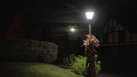 Panning shot of a light pole and full moon on a summer night Stock Footage 172442847