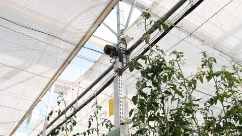 Panning shot of motorised sun protector for greenhouse Stock Footage 288336323