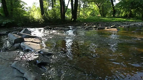 Panning shot of Mountain stream in the forest Stock Footage 55770804