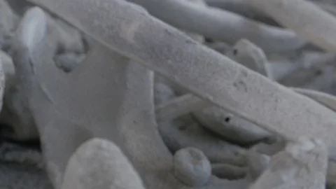 Panning shot over human bones and skull detail Video stock 122090726