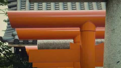 Panning shot of overlapping orange Japanese torii gates in summer Stock Footage 346367162