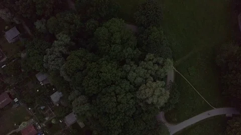 Up panning shot at a park in munich at the sunset. Stock Footage 117427161