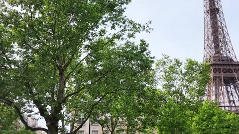 Panning Shot Revealing the Eiffel Tower Behind Lush Green Trees in Paris Stock Footage 334362448