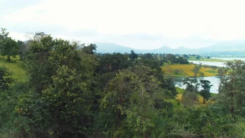 Panning shot to the right in a forest with trees and grass with a lake in the Stock Footage 130510918