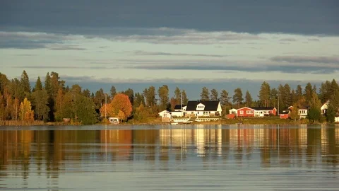 Panning shot from the right to left - the lake with many geese Stock Footage 117288775