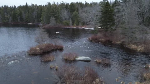 Panning Shot of the River and Stream 動画素材 303917576