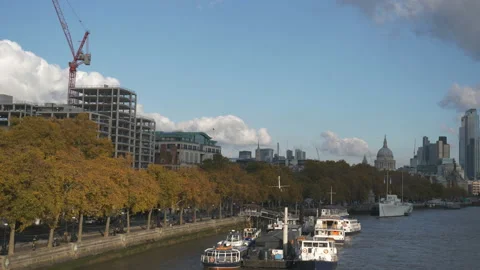 A panning shot of a row of trees beside a riverside in Autumn. Stock Footage 119669470