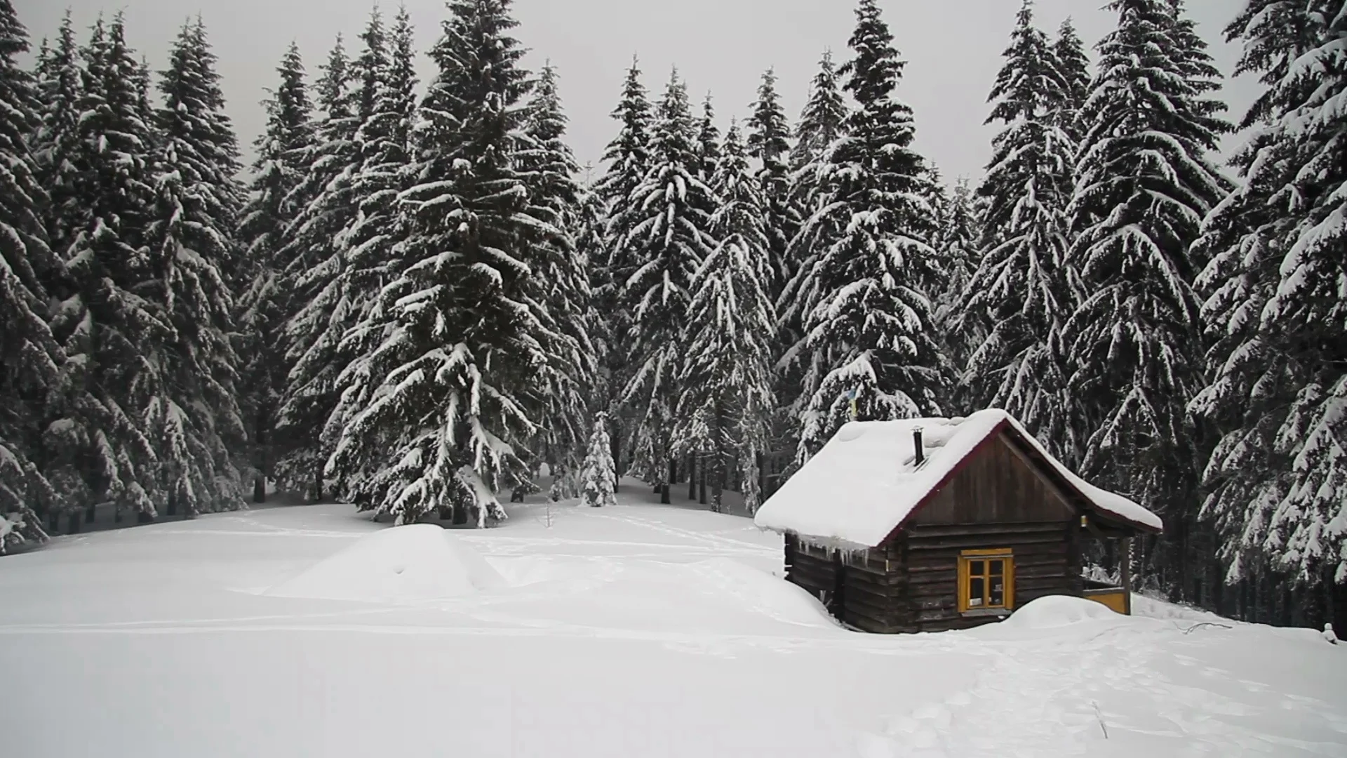 Panning Shot Snow Falling Dark Mountain Cabin Forest Woods Hiking