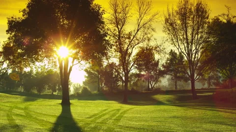 Panning Shot of the Sun Coming Through a Tree on a Golf Courts Fairway Stock Footage 66519419