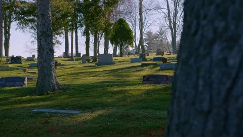 Panning shot of sun shining through the trees at Greenwood Cemetery, 4k60p Video stock 128834323