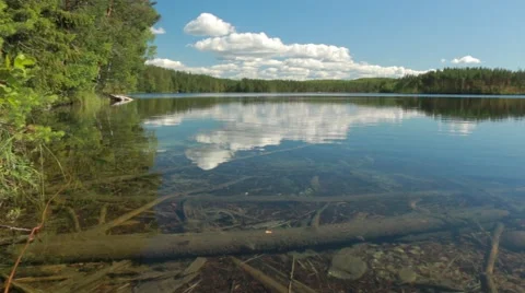 Panning shot of sunken trees at a clear-watered lake Stock Footage 54511804