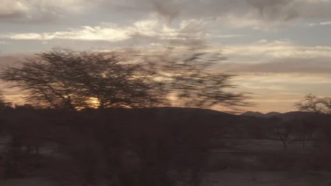 Panning shot of trees against bight sun during sunset seen through train window Stock Footage 128850906