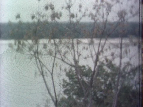 Panning shot of trees, bridge, and water - vintage 8mm Stock Footage 79270565