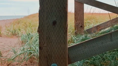 Panning Shot Of Underside Of Boardwalk Structure With Tall Green Grass And Sand Stock Footage 255322071